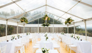 blog 1 300x173 - Wedding Theme: Fine Art Weddings